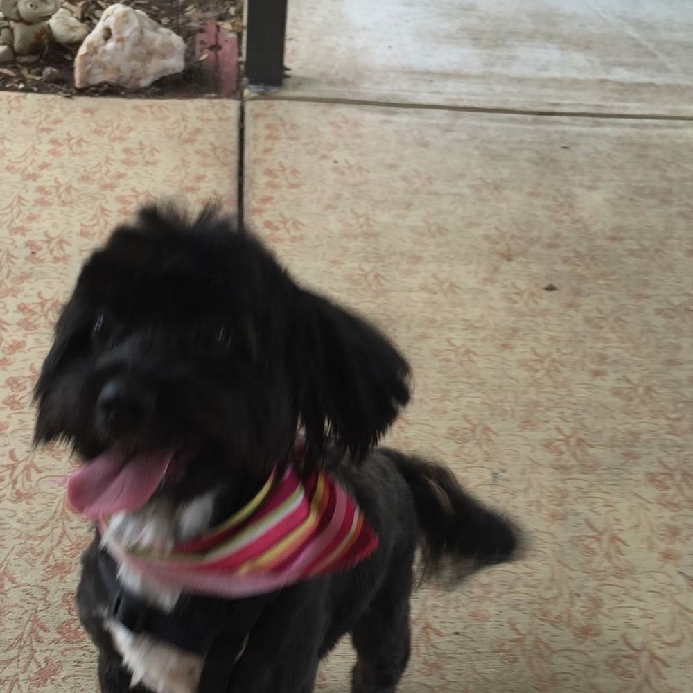 Meet your Posher, Beth